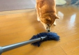 【ダスキン　ペット用おそうじモップレンタル】掃除機が苦手な愛犬もモップなら大丈夫！