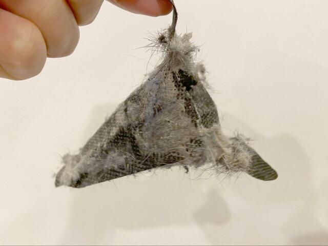 【アイリスオーヤマ 布団クリーナーハイパワー】ソファ周りの汚れっぷり、恐るべし…！