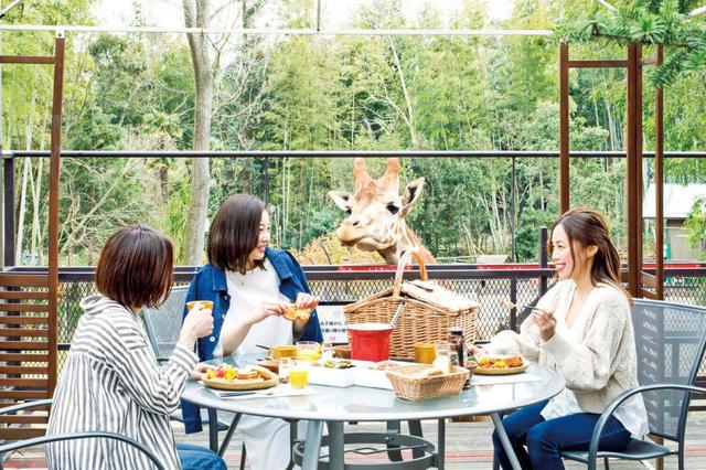 オプションは大人＋2000円、子ども＋1000円。10時30分までサユリワールド貸切可能／THE BAMBOO FOREST