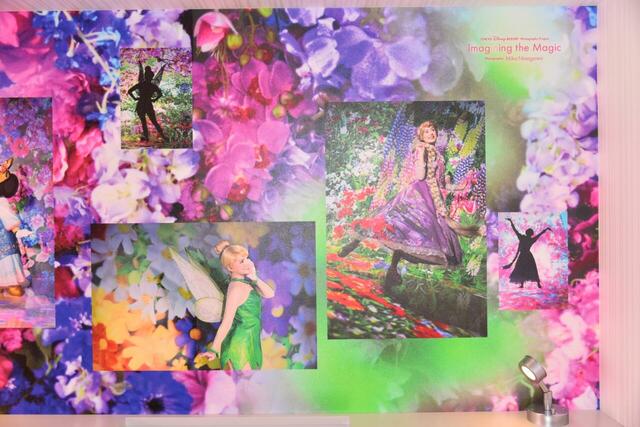 ウィッシュ イマジニング・ザ・マジック“カラー・オブ・ファンタジー”ルーム