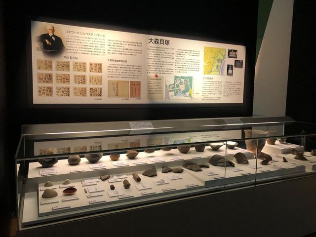 「大森貝塚」の出土品