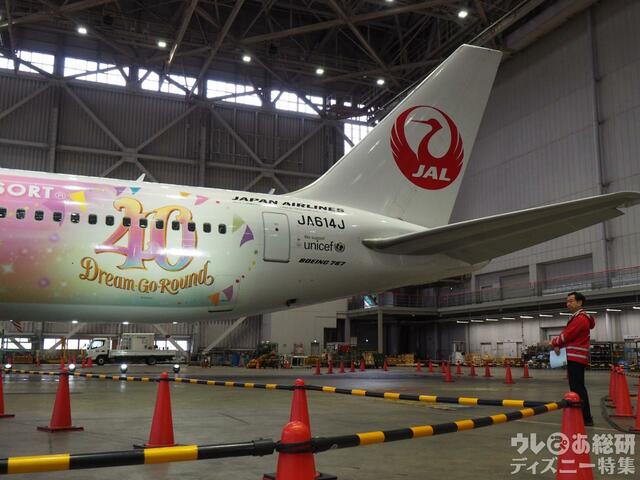 特別塗装機「JAL Colorful Dreams Express」
