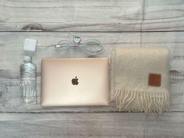 これだけのものがラクラク収納できます