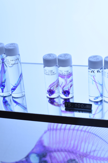 アクアショップルーチェ、「透明標本」 / エプソン アクアパーク品川