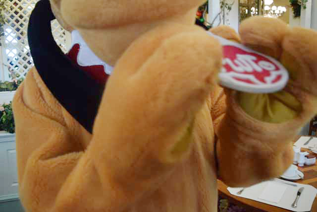 首輪を自慢げに見せてきました