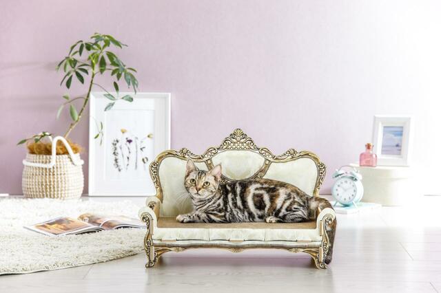 交換できる爪とぎソファハイバッグ　使用イメージ