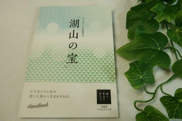 湖山の宝パンフレット