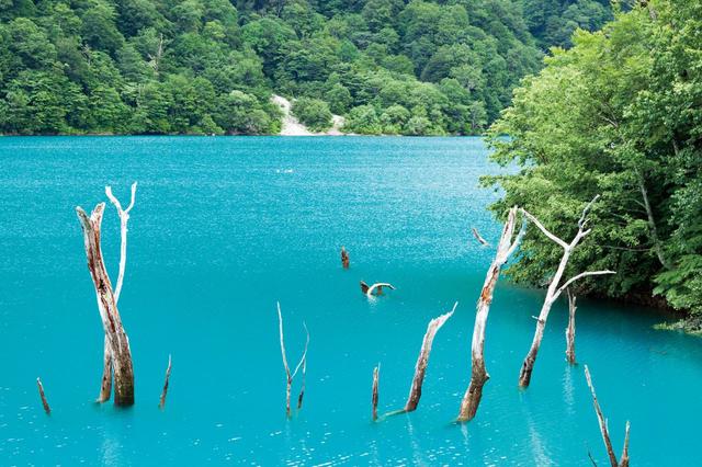 白山国立公園大白川園地（白水湖）【白川村】　画像：PIXTA