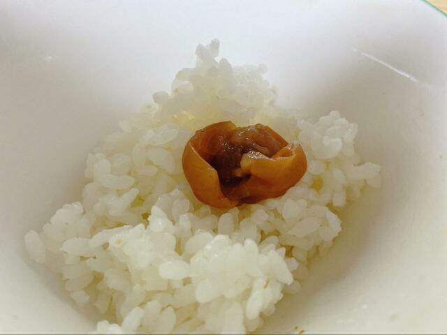 【紀ノ国屋 白干小梅 塩分約18％】塩辛くて、酸っぱい昔ながらの味わい