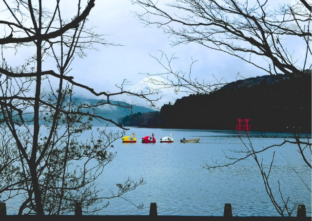 【Rakuten STAY FUJIMI TERRACE 箱根芦ノ湖】出勤するスワンボートの風景も朝の芦ノ湖ならでは