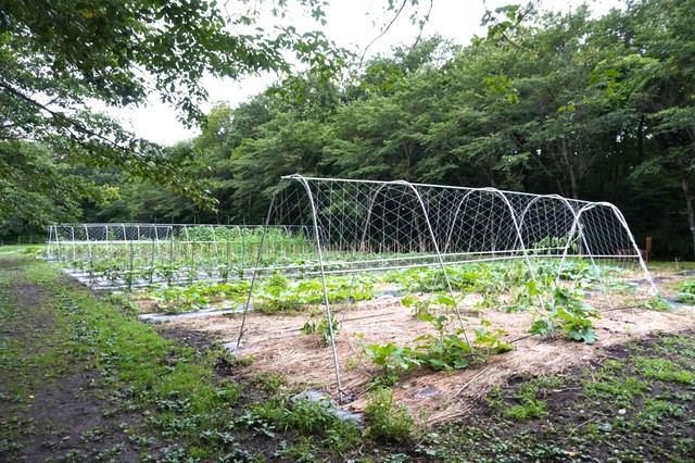 【リゾナーレ那須】アグリガーデン