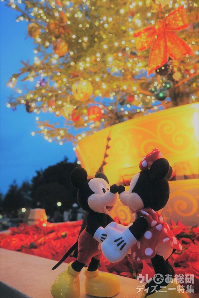 イルミネーションが灯ると、よりロマンチックな雰囲気に。