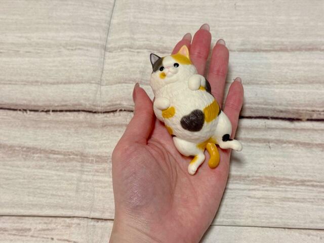 手のひらに収まるサイズ感!