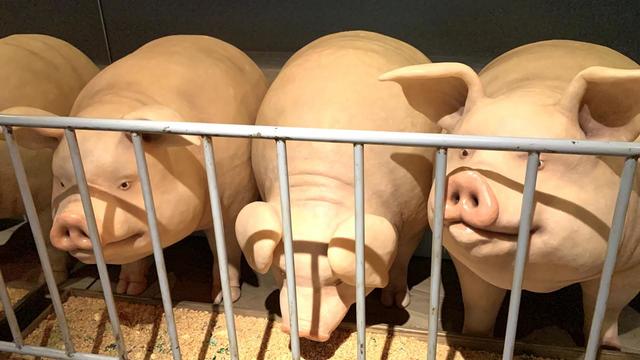 千と千尋の神隠し