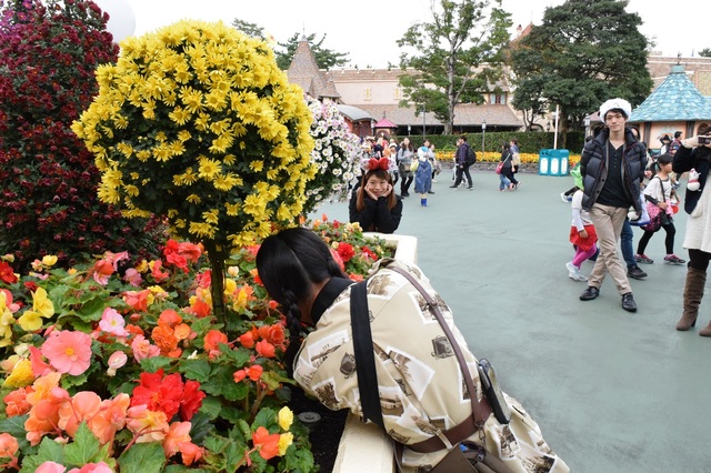 カメラマン、花壇に半身入ってます!