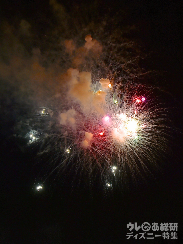 ブランニュードリーム｜東京ディズニーリゾート35周年“Happiest Celebration! ”