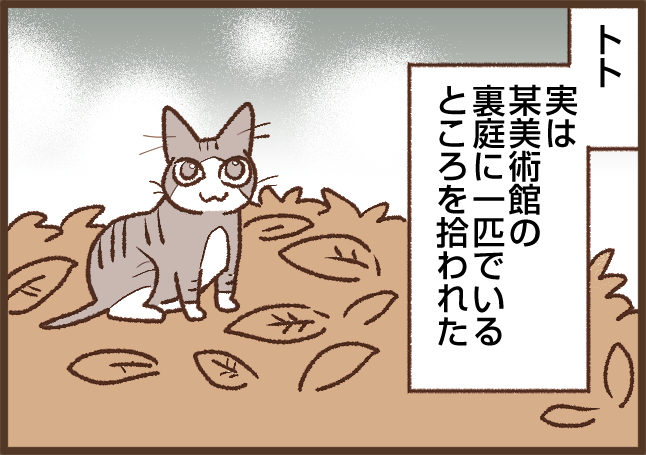 ねこかめ吉ページ 吉川さん家の猫事情】#73話 美術館から来たネコ（1/2） - マンガ連載