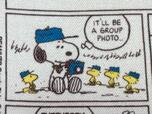 スヌーピーがカメラを持って、ウッドストックたちに「I’LL BE A GREAT PHOTOGRAPHER!」（ぼくはすごい写真家になるぞ！）と意気込んでいます！
