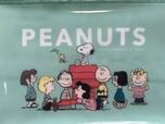 前面はミントグリーンにPEANUTSの仲間たちのイラスト入りデザイン