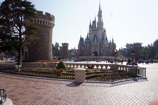 シンデレラ城前広場の円形花壇の脇、柵沿い