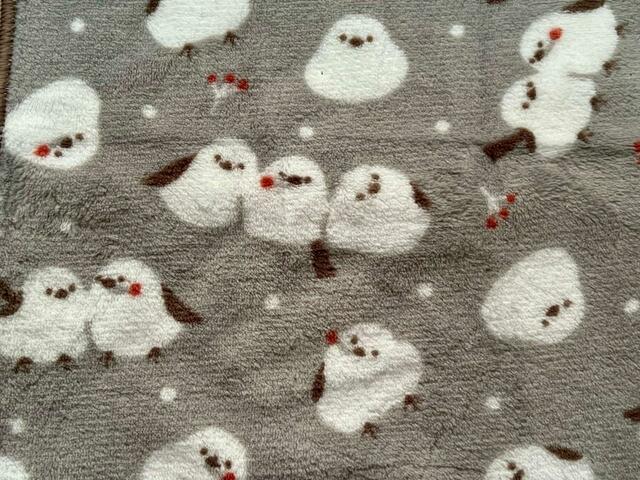 木の実のオレンジカラーがアクセントになってますね♪