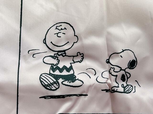 華麗に宙を舞うチャーリー・ブラウン！