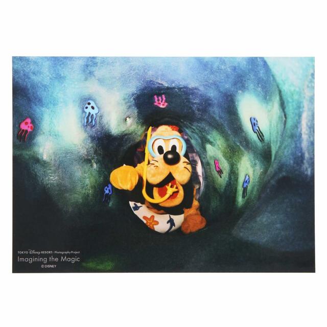 写真 500円|東京ディズニーリゾート・フォトグラフィープロジェクト「イマジニング・ザ・マジック」第2弾グッズ|東京ディズニーリゾート40周年“ドリームゴーラウンド”|発売日:2023年12月7日(木)|販売店舗:東京ディズニーランド「グランドエンポーリアム」、東京ディズニーシー「ヴァレンティーナズ・スウィート」