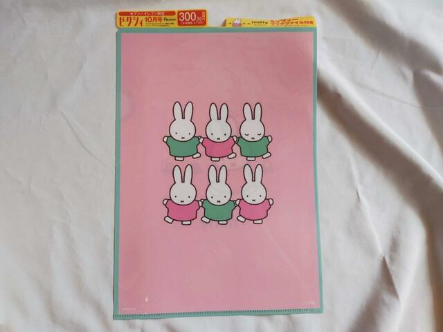 クリアファイル（裏面）