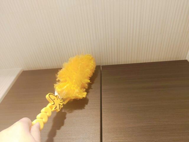 高い部分のお掃除もラクラク【ゼクシィ12月号：付録スヌーピーの収納ケース付きお掃除モップ】