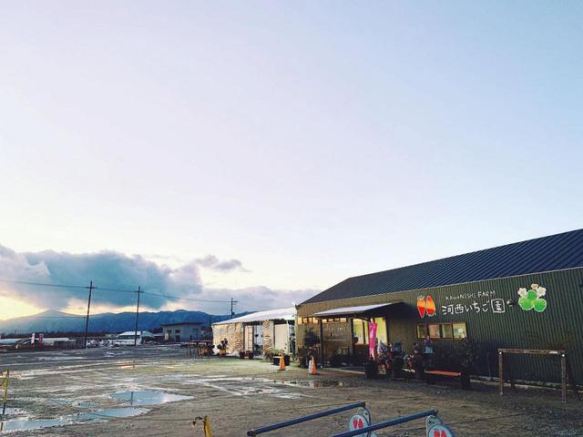 【河西いちご園】