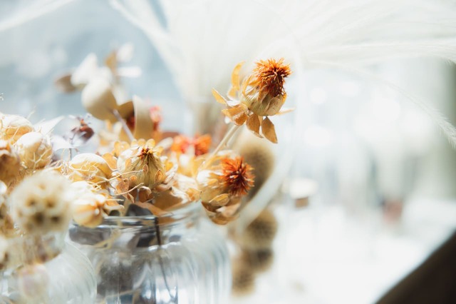 トワニーイメージ写真1