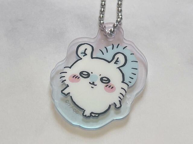 美味しいものを探して歩いているのかな?かわいいです♪