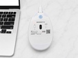 【サンワダイレクト 推し活マウス】マウス裏に電源、Bluetooth/2.4GHz接続切り替えボタンがあります