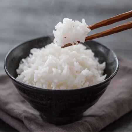 ごはん【海鮮れすとらん「魚のます」のお刺身食べ放題】