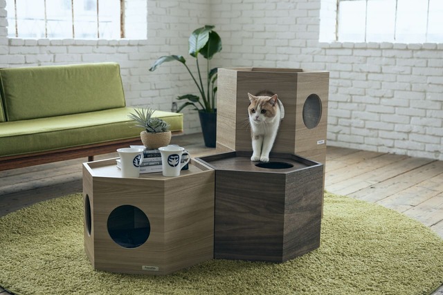 【フランスペット】「ペットハウス ヘキサ」