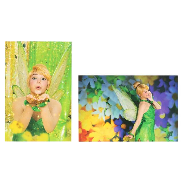 ポストカードセット 600円｜東京ディズニーリゾート・フォトグラフィープロジェクト「イマジニング・ザ・マジック」グッズ｜販売店舗：東京ディズニーランド「ギャグファクトリー／ファイブ・アンド・ダイム」、東京ディズニーシー「エンポーリオ」｜発売日：2026年3月6日（金）