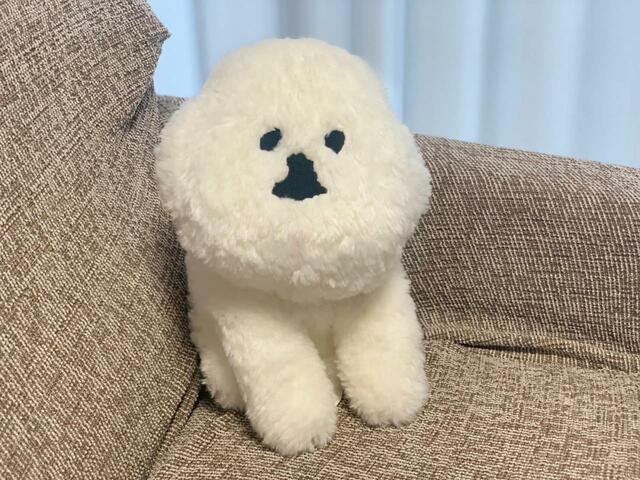 ソファーにフィットしてこちらを見上げるつぶらな瞳…