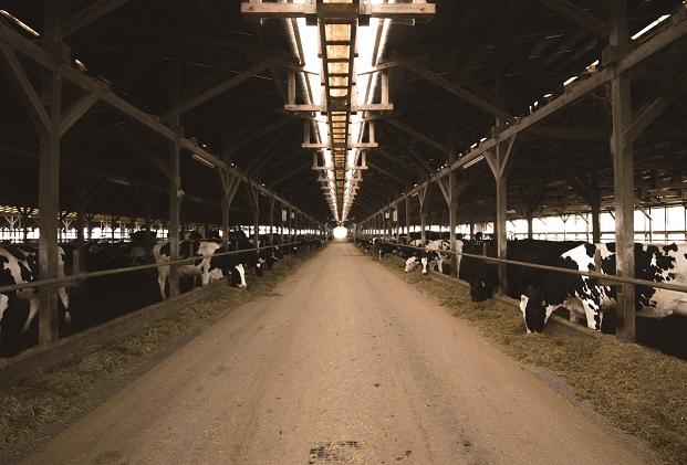 「ワタミカミチク株式会社」【かみむらの夏祭り】