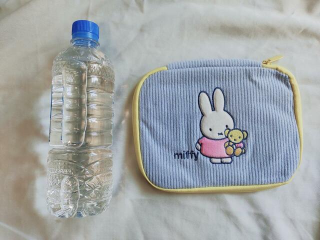 ペットボトルより縦のサイズは小さめ