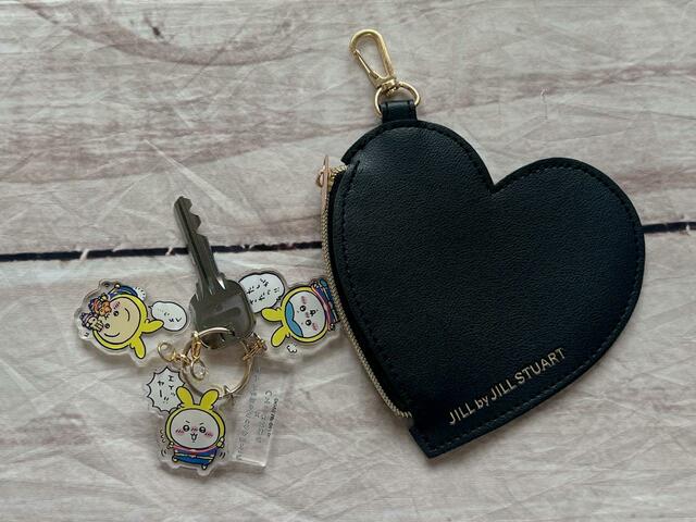 ポーチには家の鍵を入れてみました