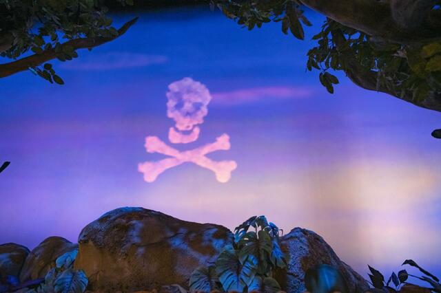 ピーターパンのネバーランドアドベンチャー