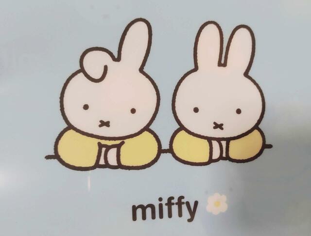 ミッフィーが並ぶイラストがキュート