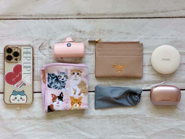 フロントのポケットにはこちらを入れてみました