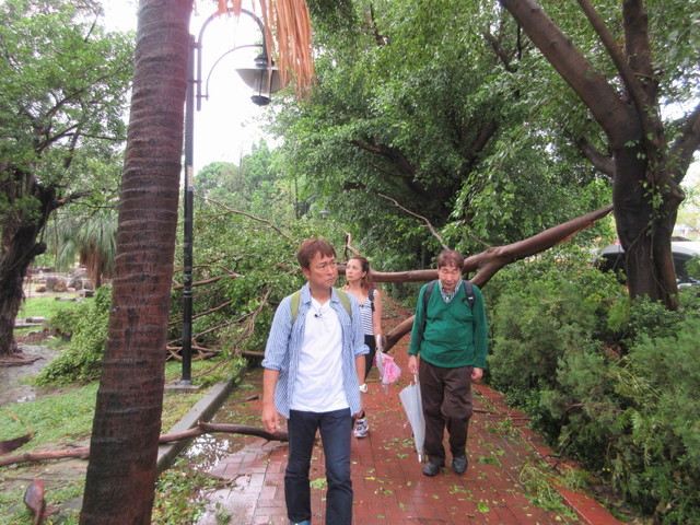 ©2015「ローカル路線バス乗り継ぎの旅　THE MOVIE」製作委員 