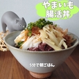 やまいも腸活丼