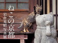 岩合光昭写真展「ねこの京都」