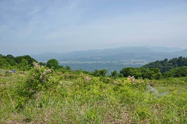 Bエリアからの眺望｜無印良品「津南キャンプ場」