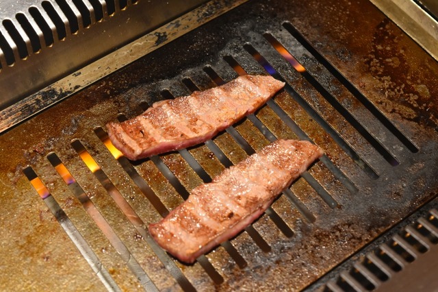 ササミはアッサリしてそうに見えて霜降り度は高い