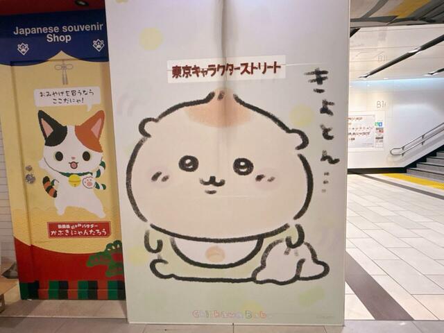 ベビーーになってより栗に近づいた？くりまんじゅう。ちょこんとした頭がかわいい♪