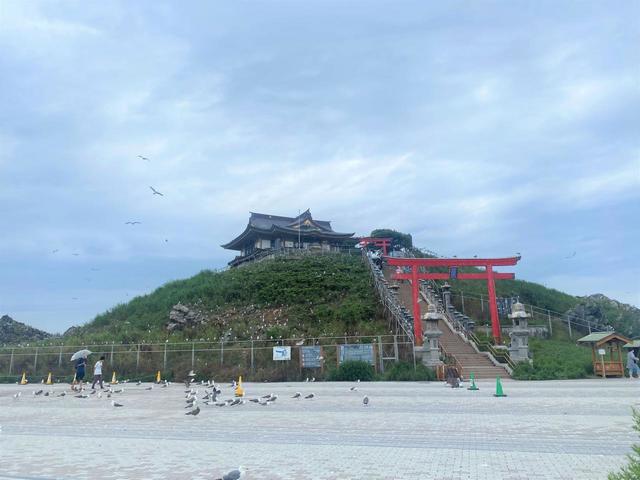 【蕪嶋神社】ウミネコの多さに驚くこと間違いなし！